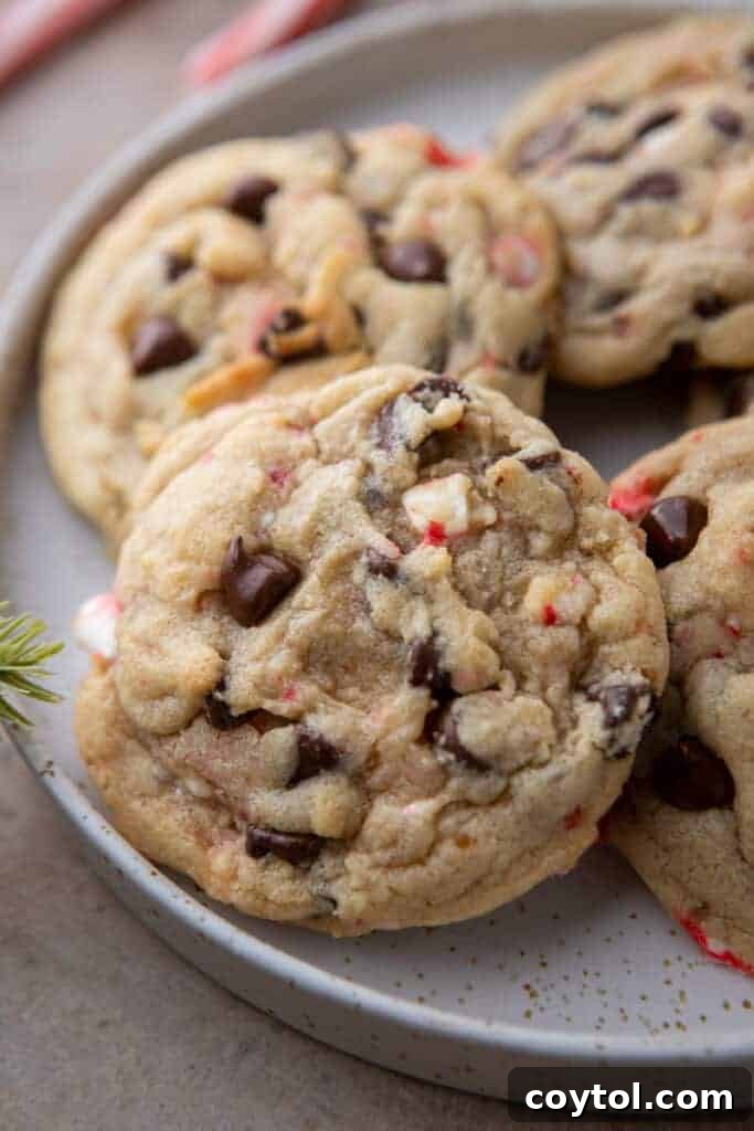 A close-up view of a peppermint chocolate chip cookie, with more cookies softly blurred in the background on a plate.