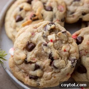 A close-up of a festive peppermint chocolate chip cookie with others on a plate in the background.