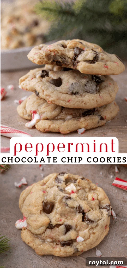 A Pinterest pin image for peppermint chocolate chip cookies, showcasing a delicious cookie.