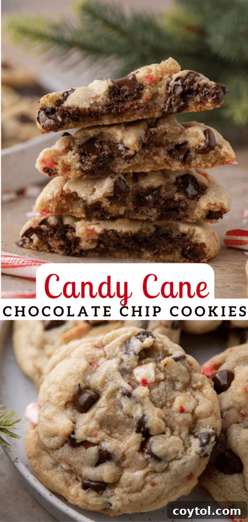 Another Pinterest pin design for peppermint chocolate chip cookies, featuring a festive close-up.