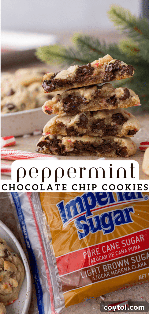A third Pinterest pin graphic for peppermint chocolate chip cookies, highlighting their holiday appeal.