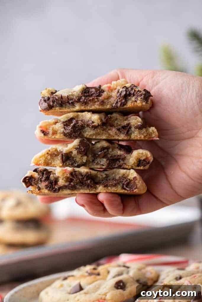 A hand presenting a stack of freshly baked peppermint chocolate chip cookies, highlighting their appealing texture.