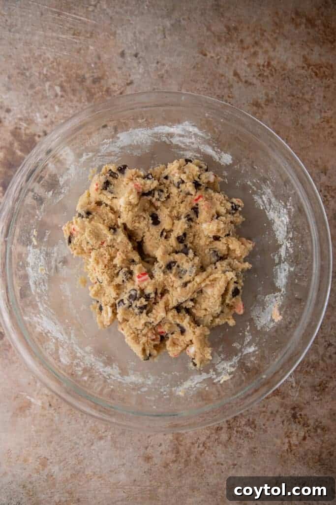 A bowl containing mixed cookie dough, showcasing the uniform consistency and incorporated ingredients.