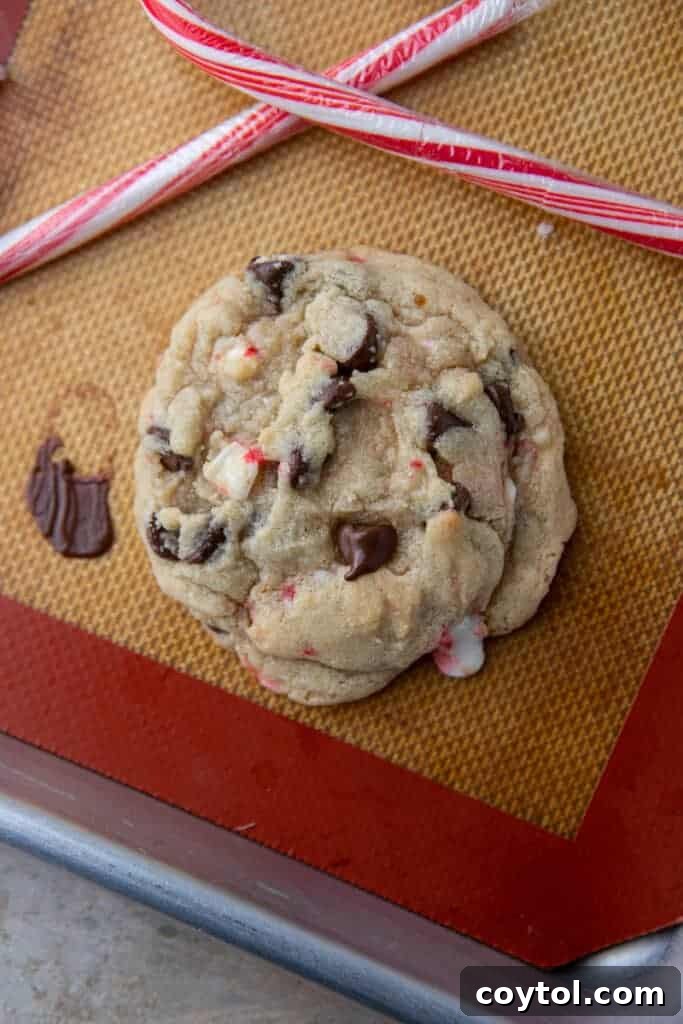 A freshly baked peppermint chocolate chip cookie resting on a baking sheet, showcasing its golden edges and soft center.
