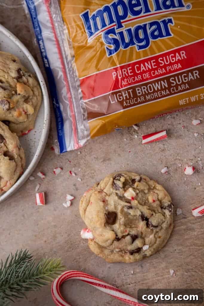A close-up shot of a single peppermint chocolate chip cookie, surrounded by its main ingredients like chocolate chips and candy canes.
