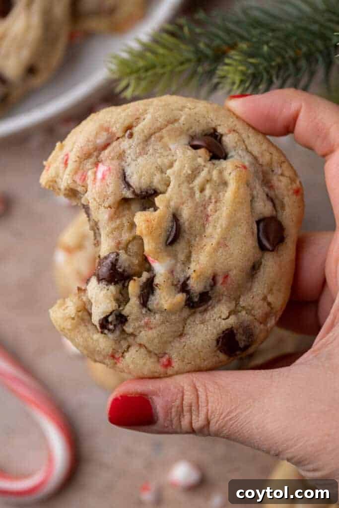 A hand holding a peppermint chocolate chip cookie with a bite taken out, revealing its soft and chewy interior.