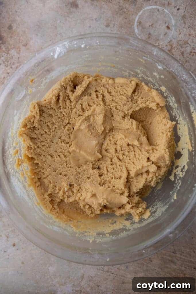 fully mixed ingredients in the bowl