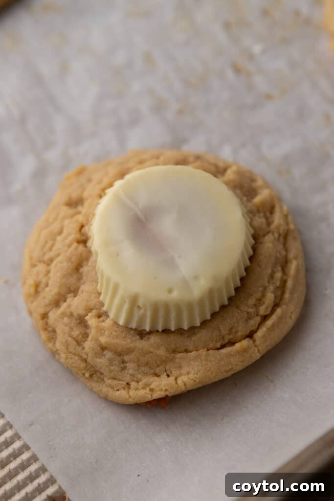 a white chocolate peanut butter cup on top of a baked peanut butter cookie