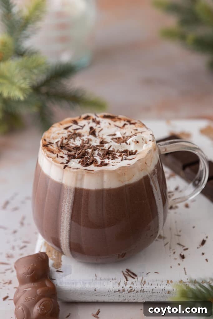 Angled overhead shot of hot chocolate for one in a glass, topped with whipped cream and chocolate shavings.