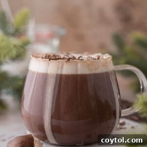 Side shot of a hot chocolate for one in a glass, topped with whipped cream and chocolate.