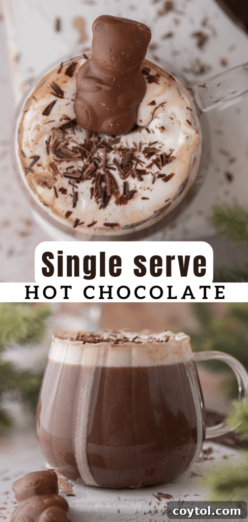 Pinterest pin for hot chocolate for one recipe, featuring a close-up of a mug with whipped cream.