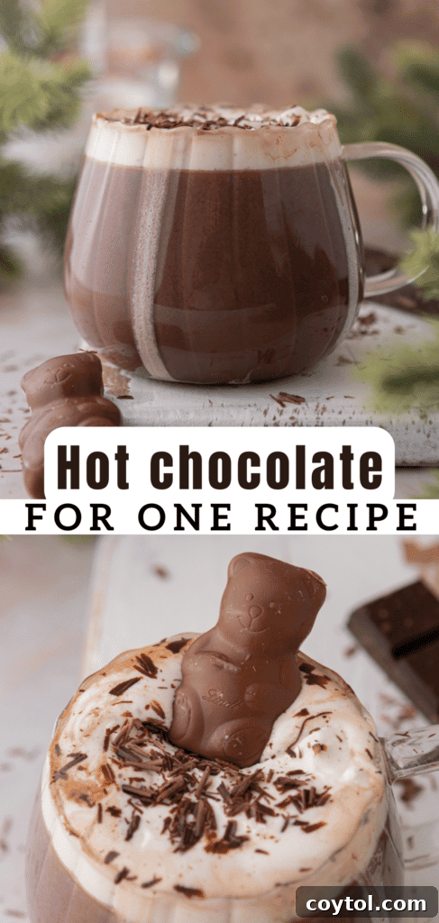 Another Pinterest pin for hot chocolate for one recipe, with a styled overhead shot of the drink.