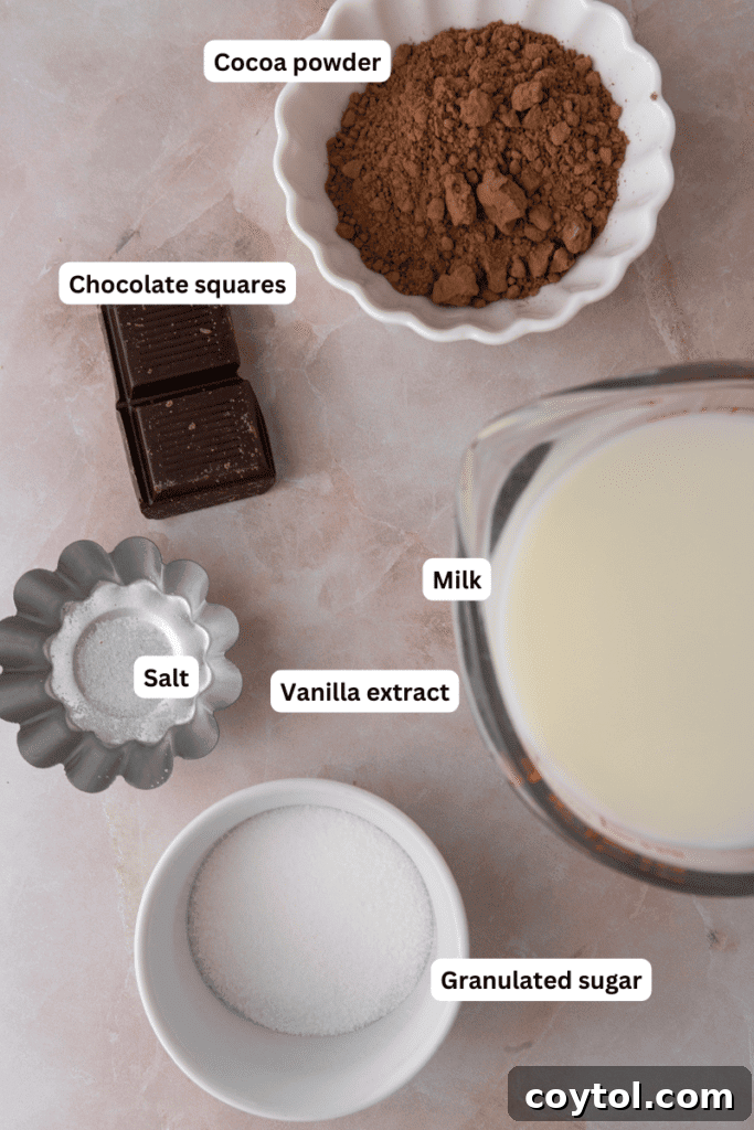 Ingredients for hot chocolate laid out on a kitchen counter, including milk, chocolate, cocoa powder, sugar, and vanilla extract.