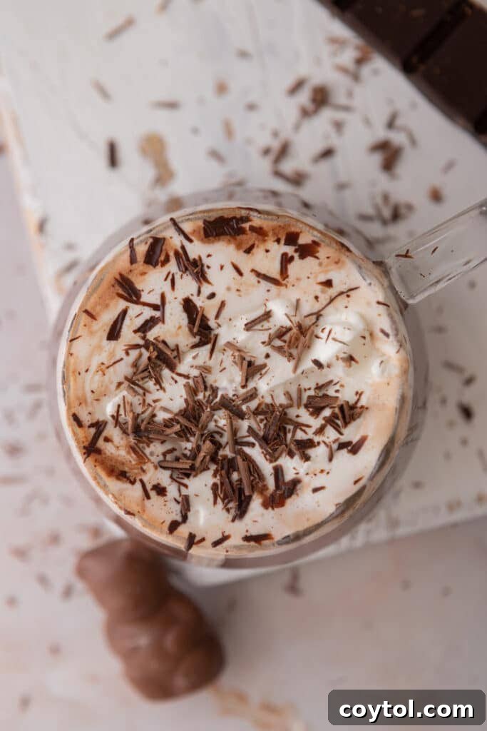 Overhead shot of a single serving of hot chocolate in a clear glass mug, topped with whipped cream and a sprinkle of cocoa powder.