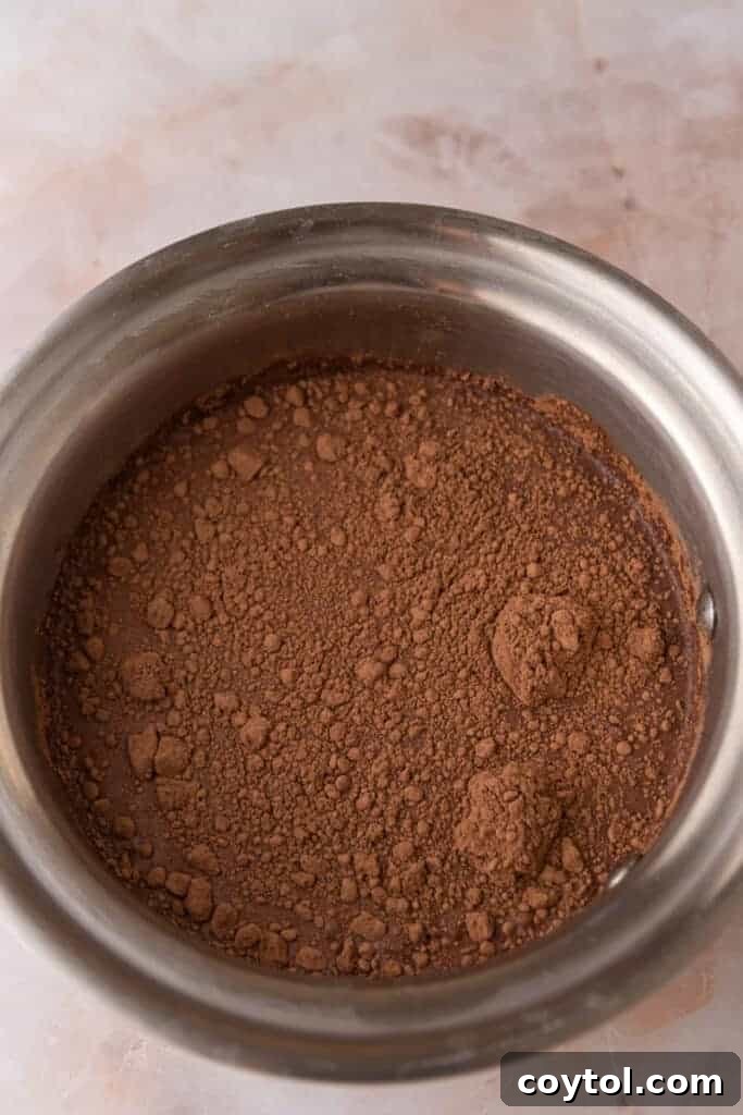 All of the unmixed ingredients for hot chocolate in a pot before heating.