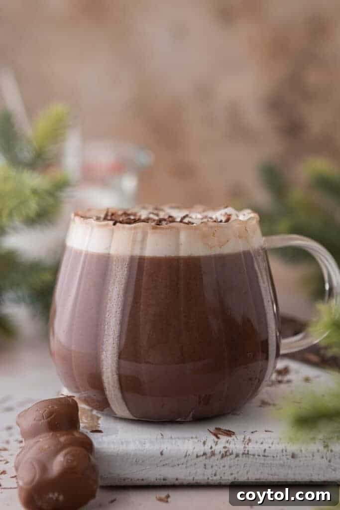 Side shot of a hot chocolate for one in a glass, with a spoon and toppings on the side.