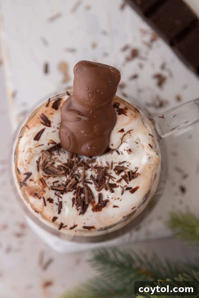 Overhead shot of a single serving of hot cocoa in a mug, with foam and chocolate shavings on top.