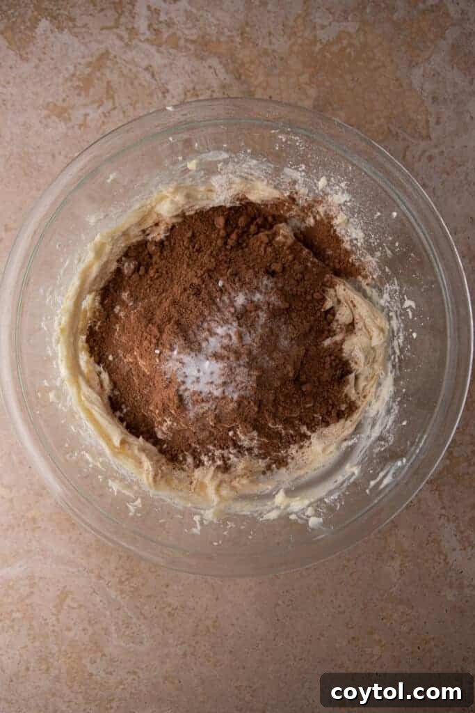 Cocoa powder, flour, and salt added on top of the creamed mixture.