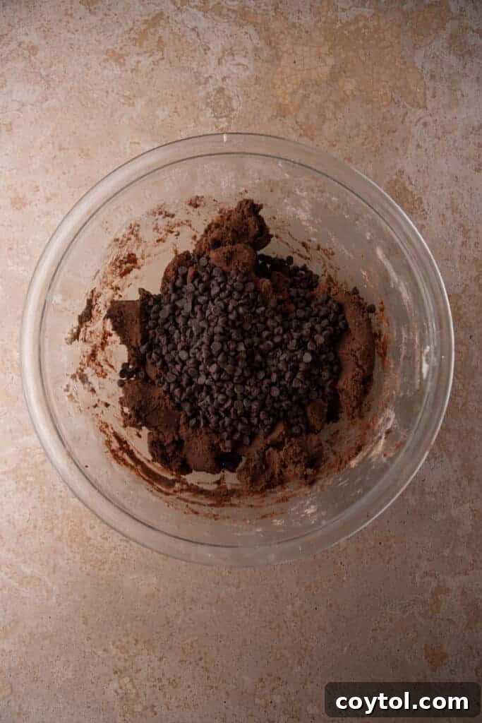 Finished chocolate cookie dough in a glass bowl.