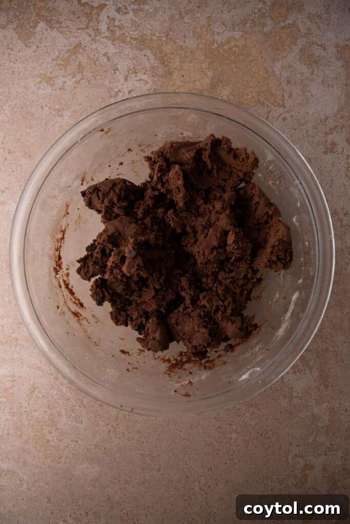 Close-up of chocolate cookie dough with mini chocolate chips.