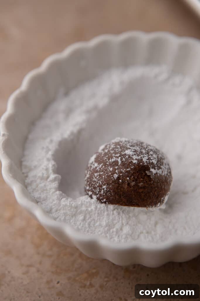 Chocolate dough ball coated lightly in powdered sugar.
