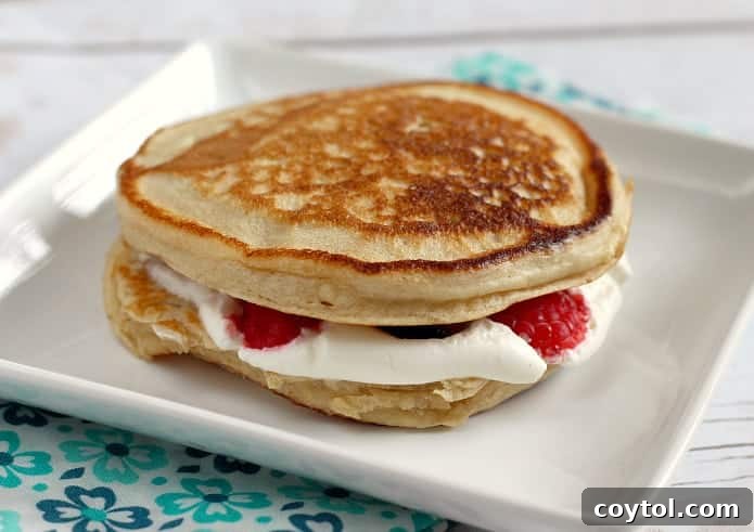 Fruit panckae sandwich
