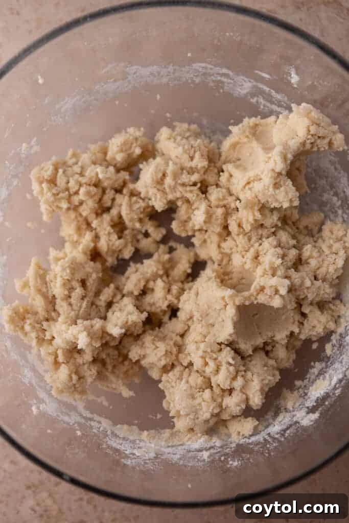 Cookie dough mixture after dry ingredients are incorporated, ready for scooping