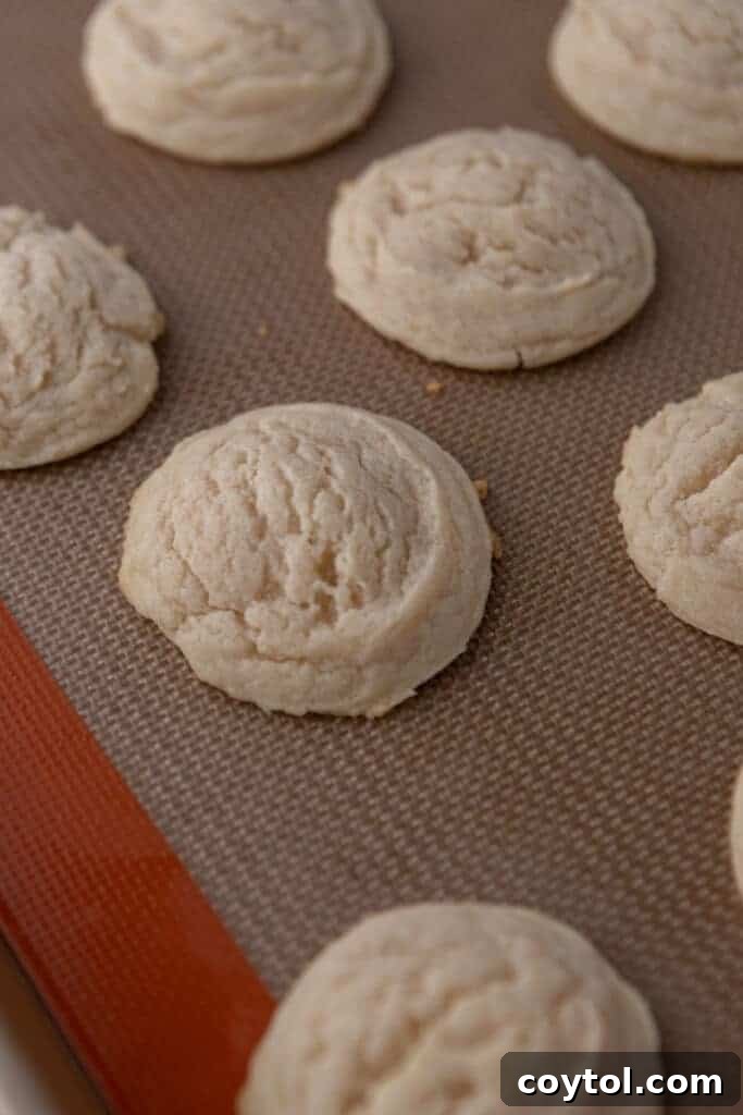 Freshly baked sugar cookies cooling on a wire rack, waiting for frosting