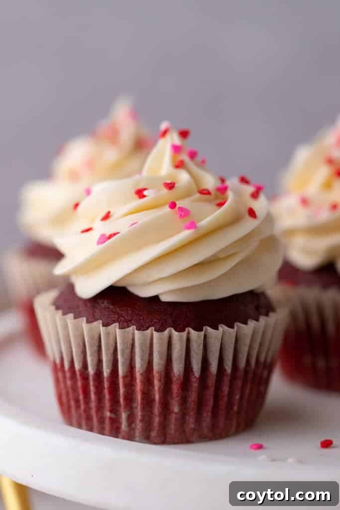 A single close-up of a beautifully frosted small batch Red Velvet cupcake, showing its vibrant red crumb and creamy white frosting.