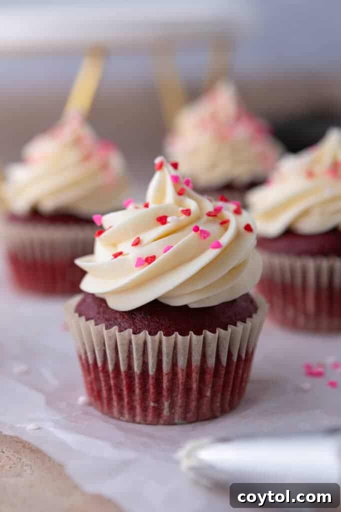 A beautifully composed zoomed-out shot of several small batch red velvet cupcakes, ready for serving.