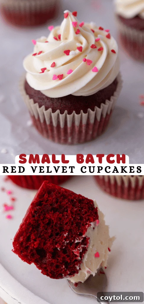Small Batch red velvet cupcakes perfectly frosted and arranged, ready to be enjoyed.