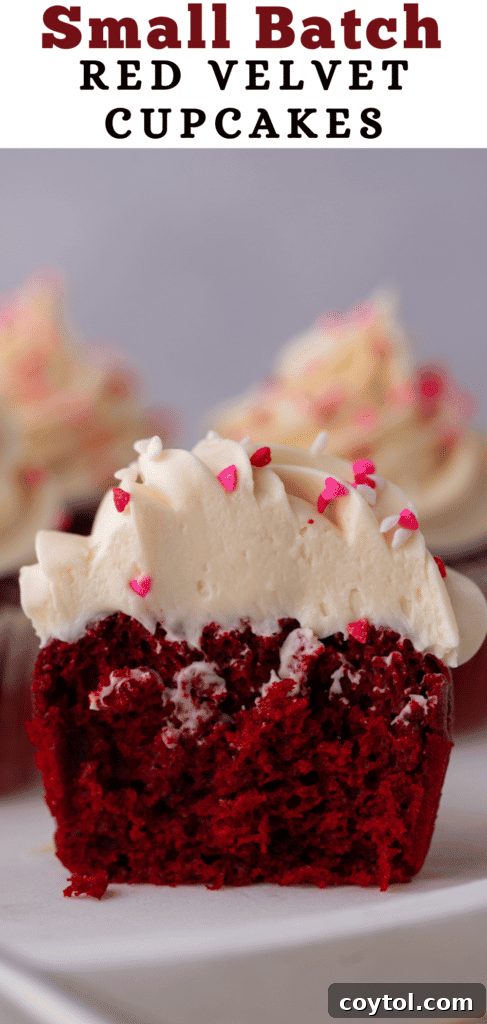 A top-down view of small batch red velvet cupcakes, showcasing their rich red color and creamy frosting.