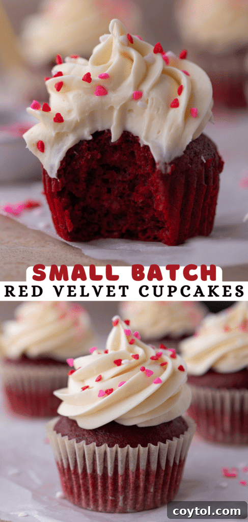 Close-up of a small batch red velvet cupcake, highlighting the texture of the cake and frosting.