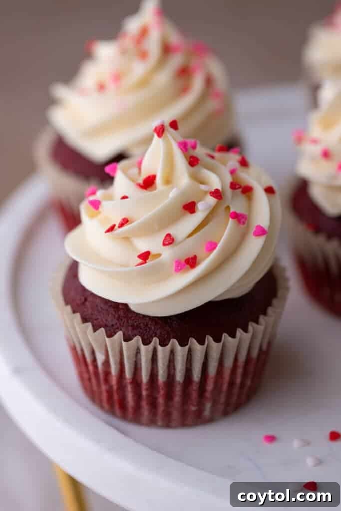 A stunning arrangement of small batch Red Velvet cupcakes, perfectly frosted with cream cheese and ready to be enjoyed.