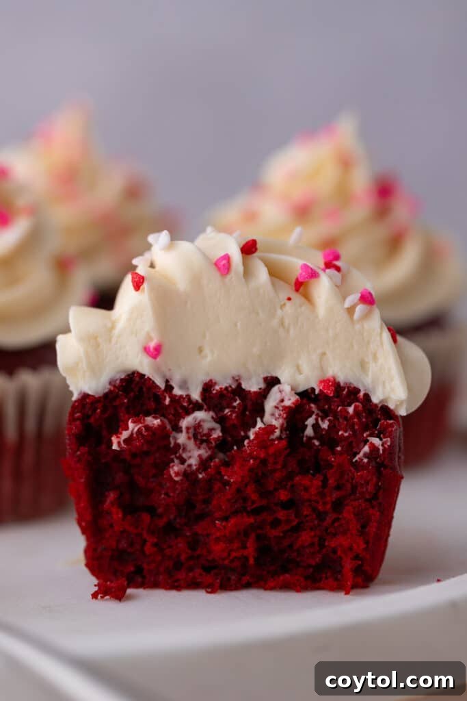 A small batch red velvet cupcake expertly split in half, showcasing its moist, vibrant red crumb and creamy white frosting.
