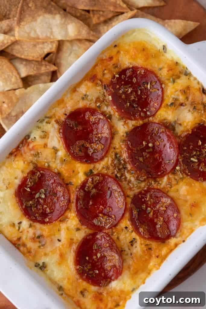 An overhead shot showcasing a diagonally plated, fully cooked cottage cheese pizza bowl dip.