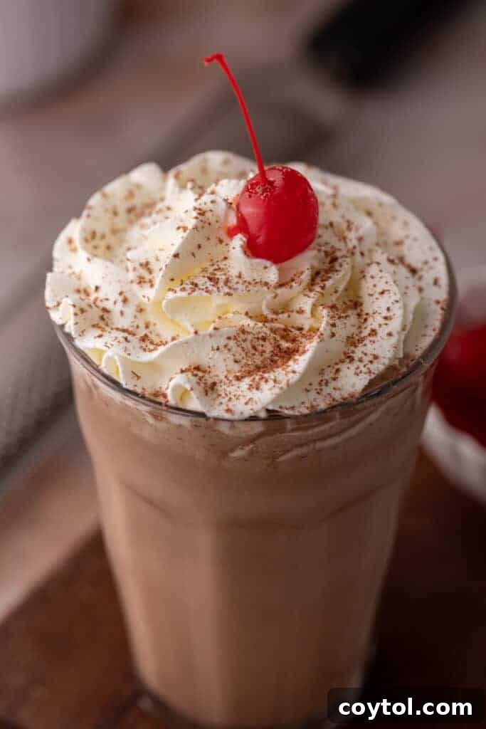 angled overhead shot of the chocolate milkshake recipe