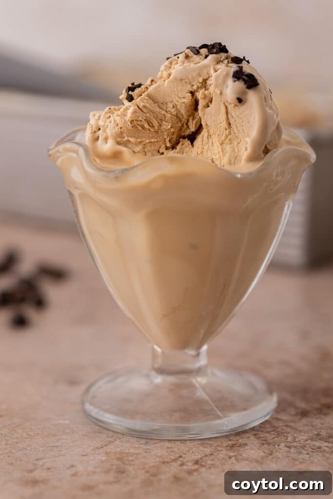 Scoops of homemade cold brew ice cream in a bowl
