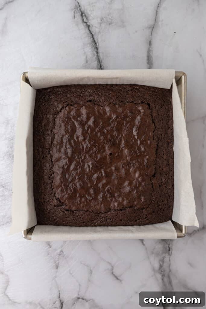 Fudge brownie in a pan