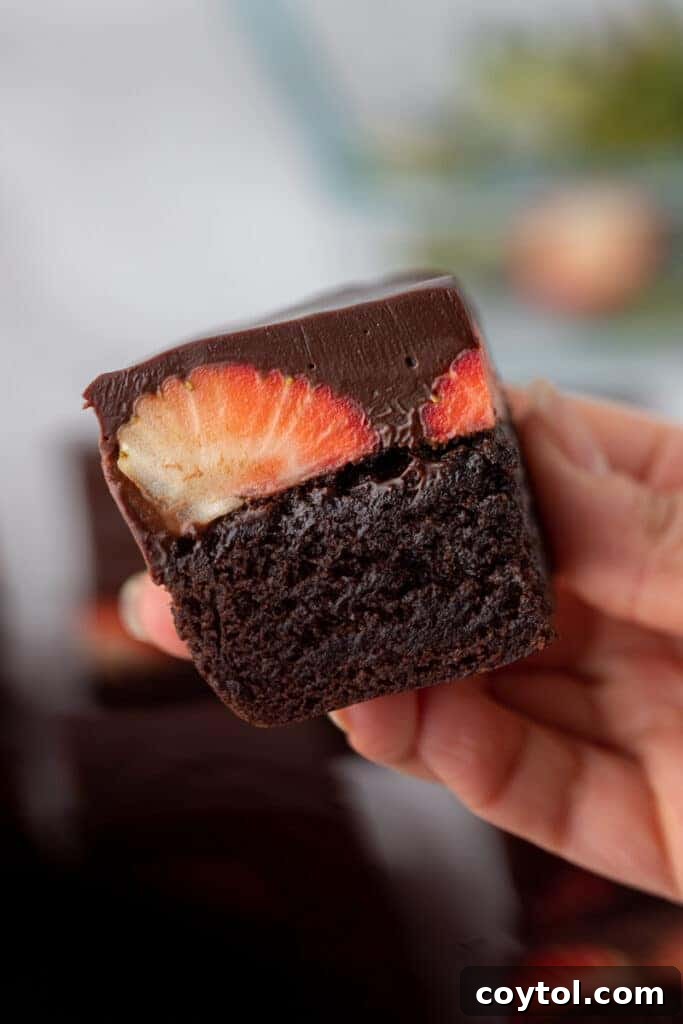 Hand holding brownies