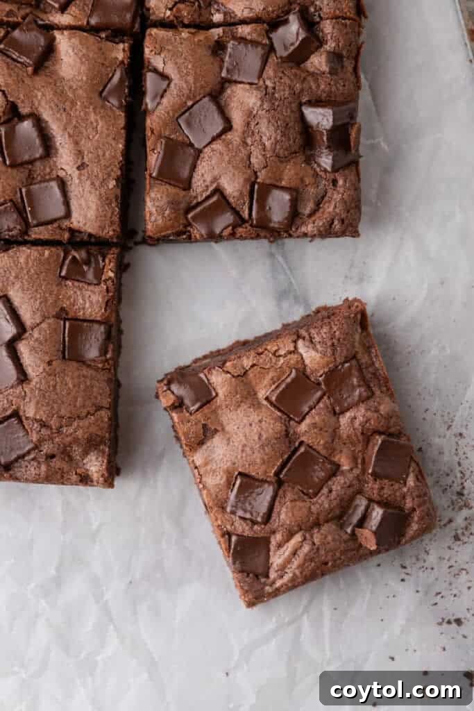 a brownie angled against the rest