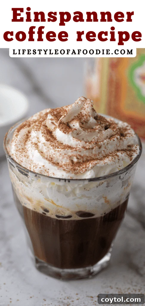 Pinterest pin showing an Einspanner coffee with luxurious whipped cream.