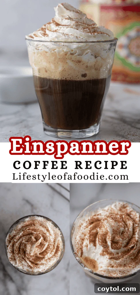 Pinterest pin featuring a close-up of a perfectly layered Einspanner coffee.