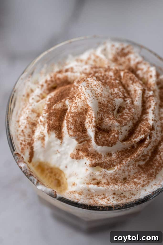 Close-up overhead shot of a perfectly layered Einspanner coffee with dense whipped cream and a sprinkle of cocoa powder.