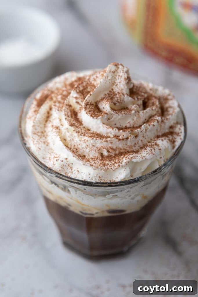 Angled view of an Einspanner coffee, emphasizing the beautiful layers and inviting texture.