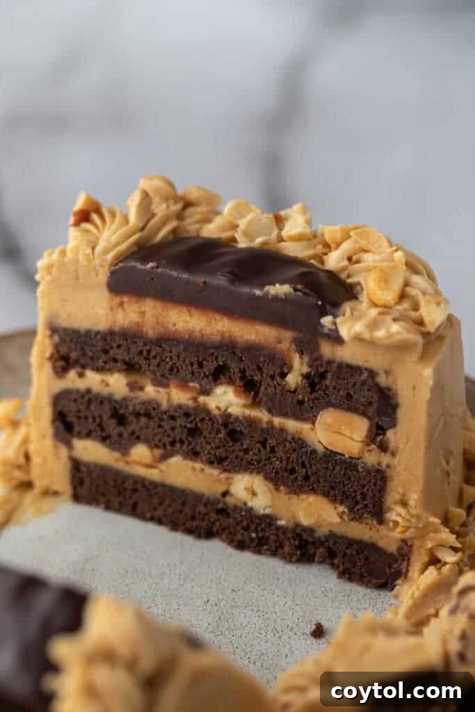 A beautifully frosted chocolate cake being decorated with homemade peanut butter frosting.