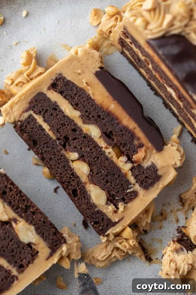 A slice of chocolate cake frosted with creamy peanut butter icing, showcasing a perfect dessert combination.