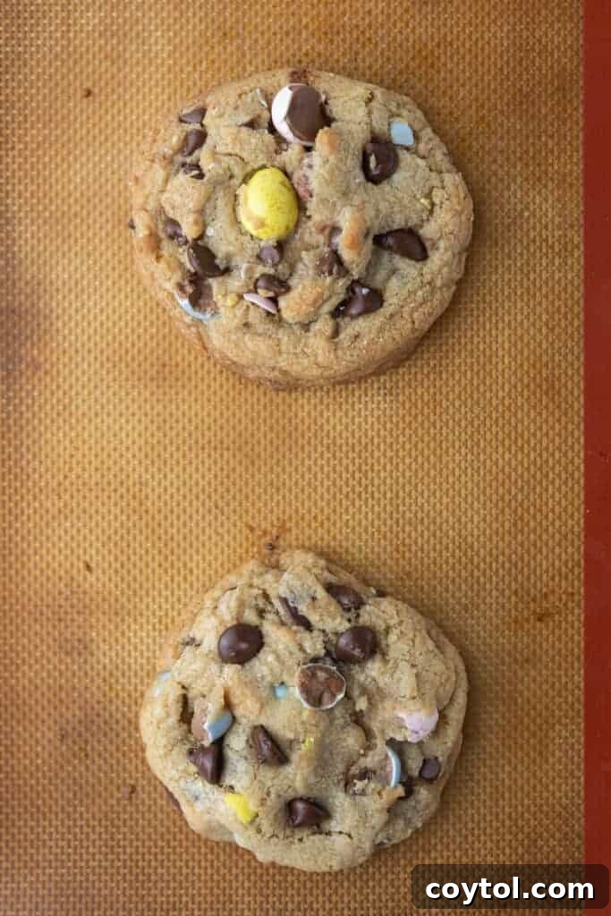 Irresistible Easter Mini Cadbury Egg Chocolate Chip Cookies 8 Fully baked Cadbury Egg Cookies cooling on a baking sheet, showcasing their golden edges and colorful candy pieces