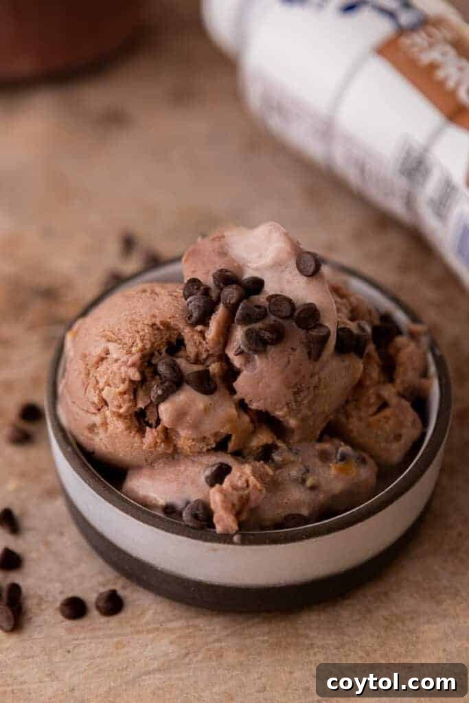 ninja creami protein ice cream in a bowl