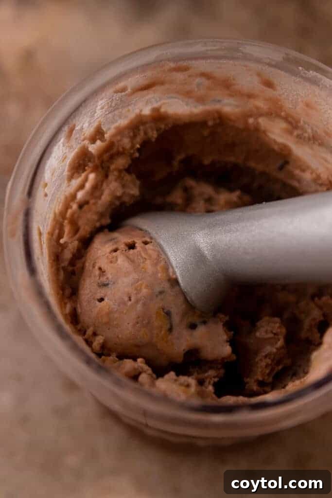 spoon scooping out ninja creami protein ice cream
